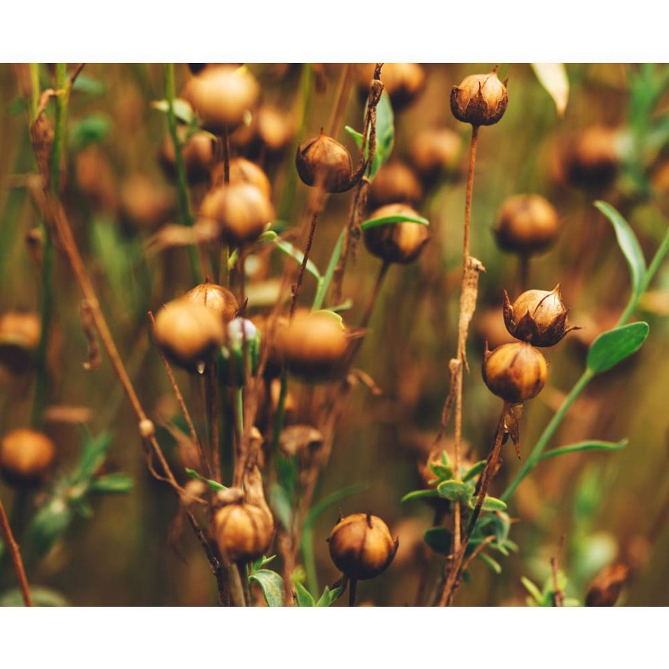 Age Defender Eye Repair - 14 ml 7