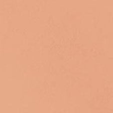 BEIGE NATURE