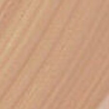 Shell Beige Shell Beige