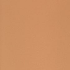 BEIGE BEIGE