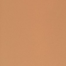 WARM BEIGE WARM BEIGE