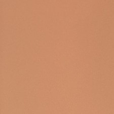COOL BEIGE COOL BEIGE