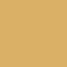 5N2 Amber Honey