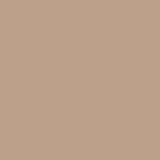 Warm Beige Warm Beige