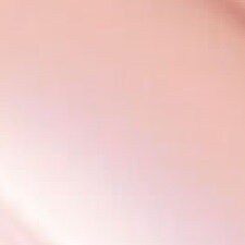 01 Rose 01 Rose