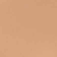 2N1 Desert Beige 2N1 Desert Beige