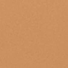 8.7 Golden Almond