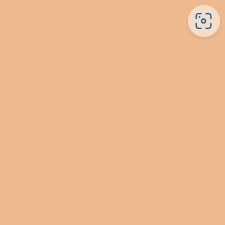2.5N NEUTRAL / NEUTRE 2.5N NEUTRAL / NEUTRE
