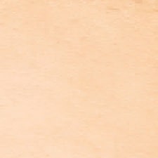 4N1 Shell Beige 4N1 Shell Beige