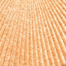 01 Gold 01 Gold