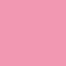 53 Bold Pink 53 Bold Pink