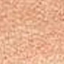 H04