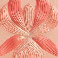 3 CORAIL