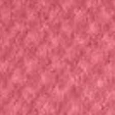 04 CHEERFUL PINK 04 CHEERFUL PINK