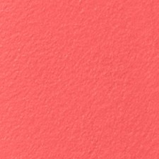 03 PETAL BLUSH