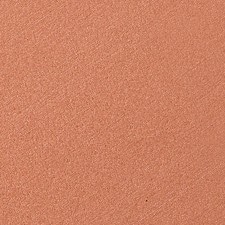 COPPERTONE
