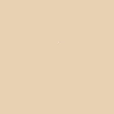 NC15 NC15