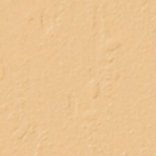 Warm Beige Warm Beige