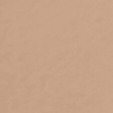Warm Beige