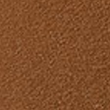 BOLDEST BRONZE