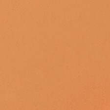 NC42
