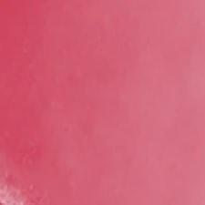 Sheer Flamingo Sheer Flamingo