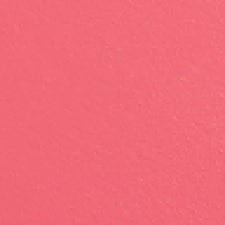 19 - Rose Bruyère 19 - Rose Bruyère