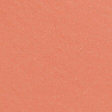 14 - Rose Abricoté