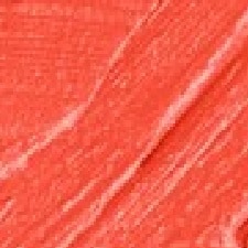 Daring Coral Daring Coral