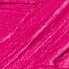 Boldly Fuchsia Boldly Fuchsia