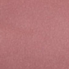 731 Rose Berry 731 Rose Berry