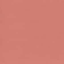 N3 - Nude Decolette N3 - Nude Decolette