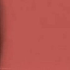 N12 - Nude Instinct N12 - Nude Instinct