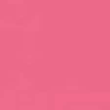 P2 - Rose No Taboo P2 - Rose No Taboo
