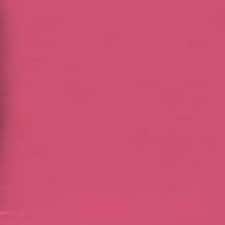 PM - Pink Muse PM - Pink Muse