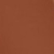 Scorching Brown