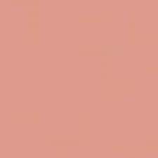 6B Brown Nude 6B Brown Nude