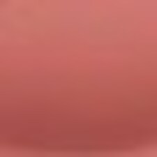 787 CAMELLIA NU