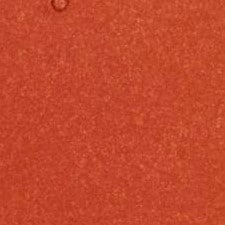 03 Coral Beige 03 Coral Beige