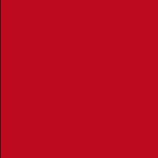 880 LE ROUGE RUBIS - SATIN 880 LE ROUGE RUBIS - SATIN