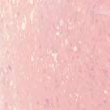 05 Marshmalow Electro