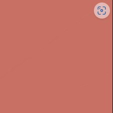 47 - Beige Sanguine