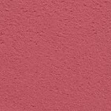 Rose Épure