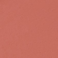 FUTURE BEIGE