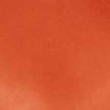 Sweet Tangerine