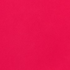 Fuchsia Glow