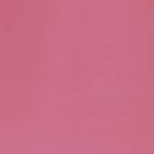 PERFECT PINK PERFECT PINK