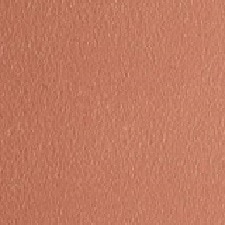 12 Beige Doré 12 Beige Doré