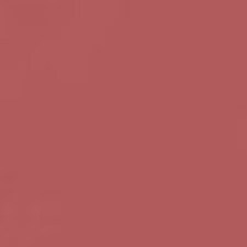 N111 - NUDE BLUSH N111 - NUDE BLUSH