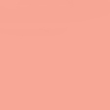 Shell Peach Shell Peach